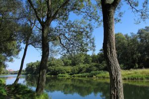 Oświęcim. Sytuacja hydrologiczna na Sole się ustabilizowała. W mieście nie obowiązuje już pogotowie przeciwpowodziowe