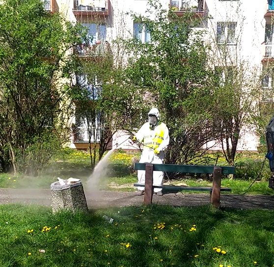 Pracownik komunalny ubrany w specjalny kombinezon dezynfekuje chodnik i kosz na śmieci