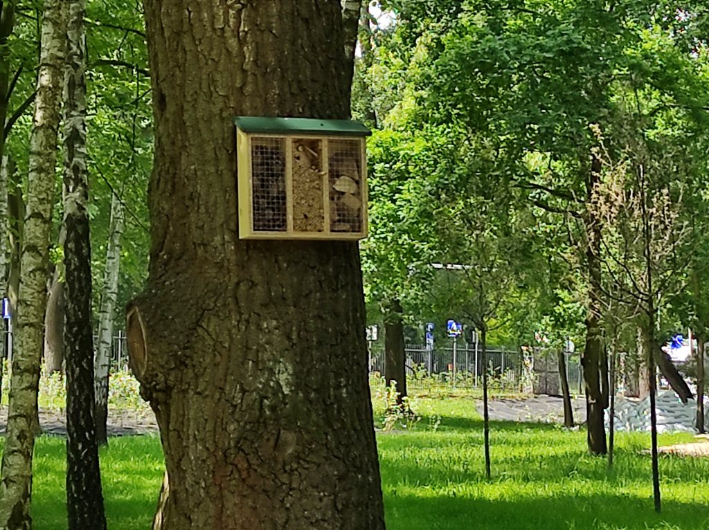 Hotel dla owadów na drzewie