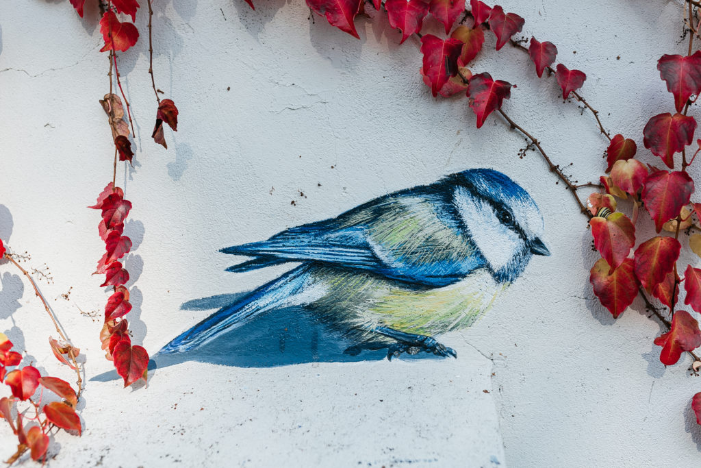 Sikorka jest jednym z ptaków ptasiego muralu