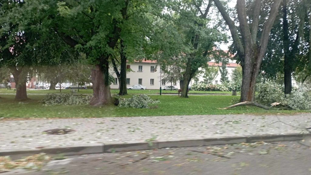 Połamane gałęzie wzdłuż ulicy