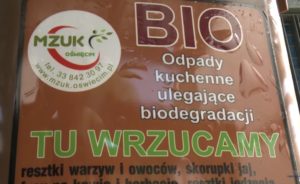 Oświęcim.  Ankieta o zagospodarowaniu bioodpadów w przydomowym kompostowniku