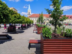 Oświęcim. Rynek bardziej zielony