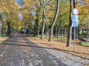 Oświęcim. Park Bulwary. Zasady poruszania się